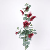 Eucalyptus Flowering Blossom Spray Red
